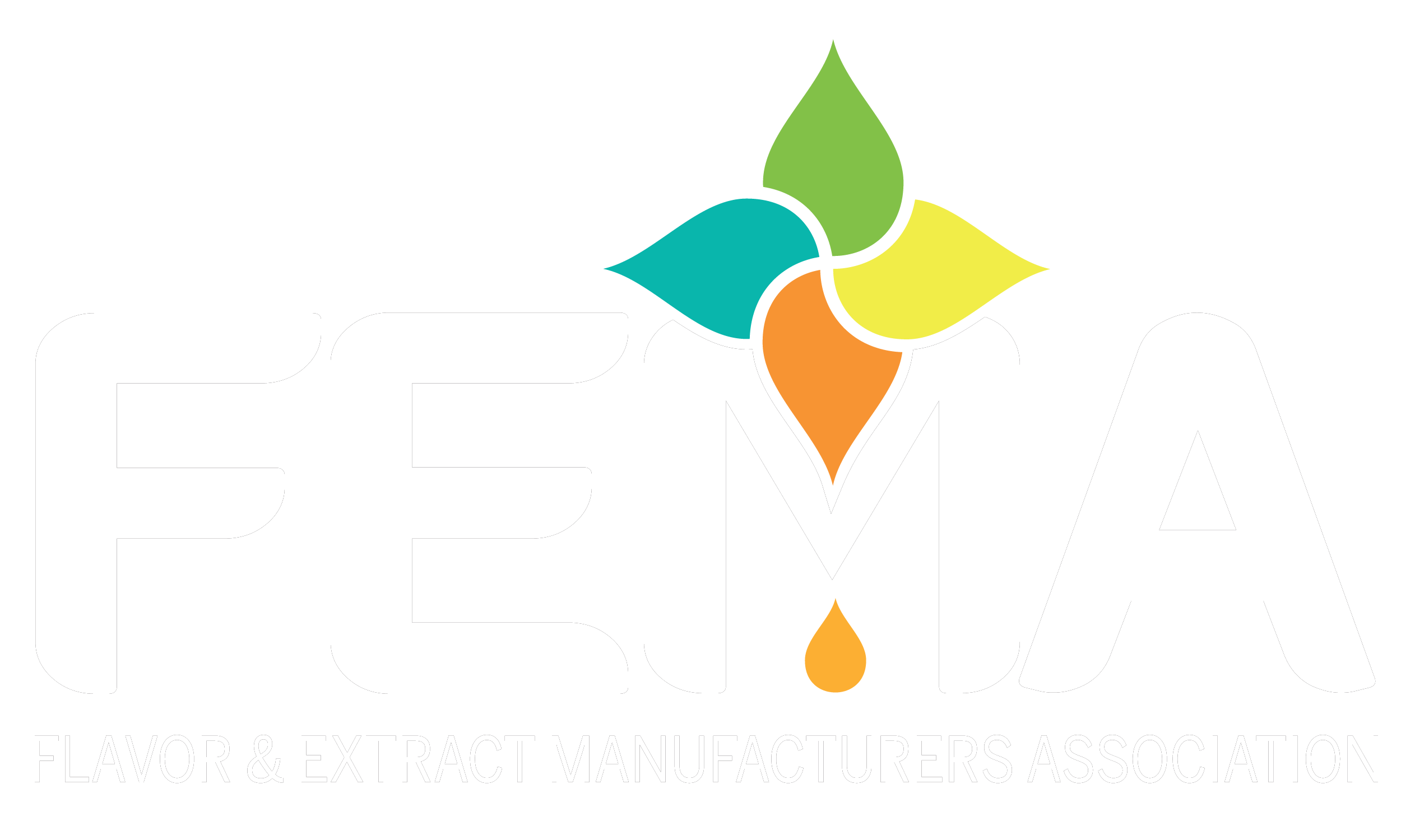 FEMA_Logo_CMYKwhite