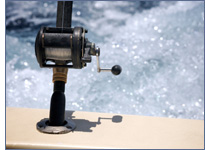 Sea Fishing Tournament