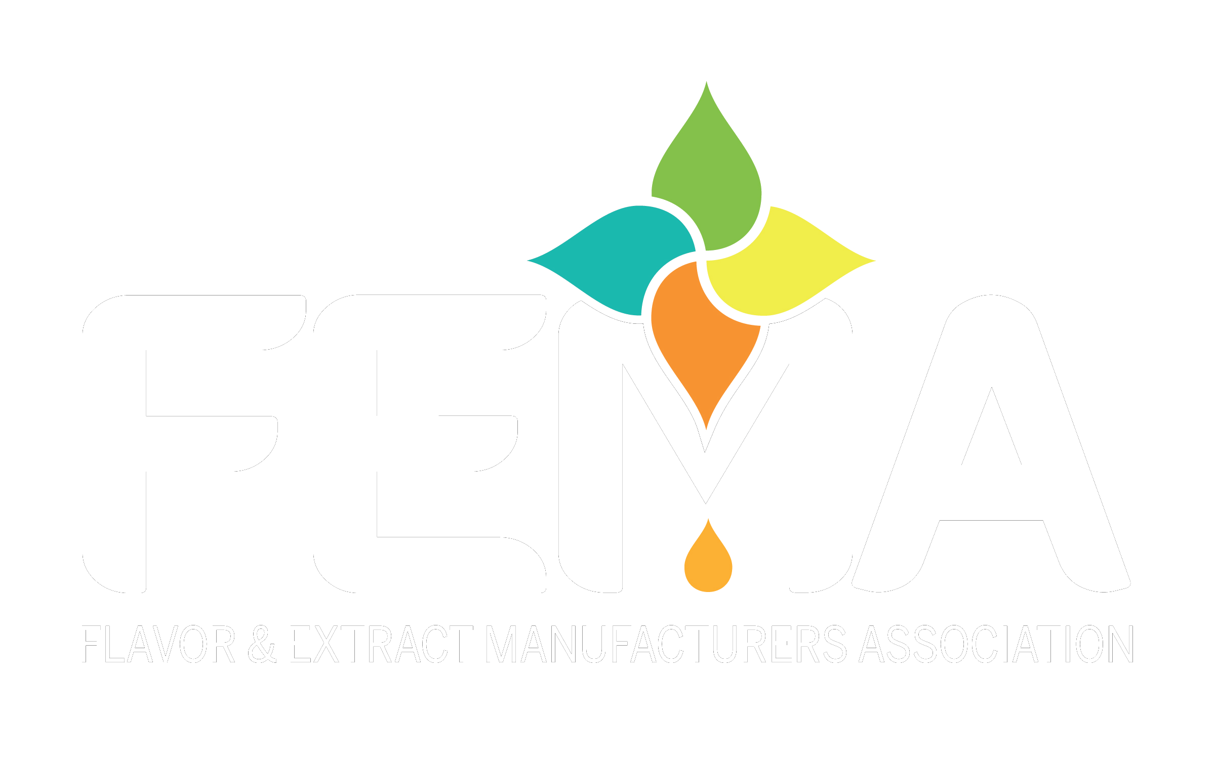 FEMA-Logo_AllCaps_Final copyWhite