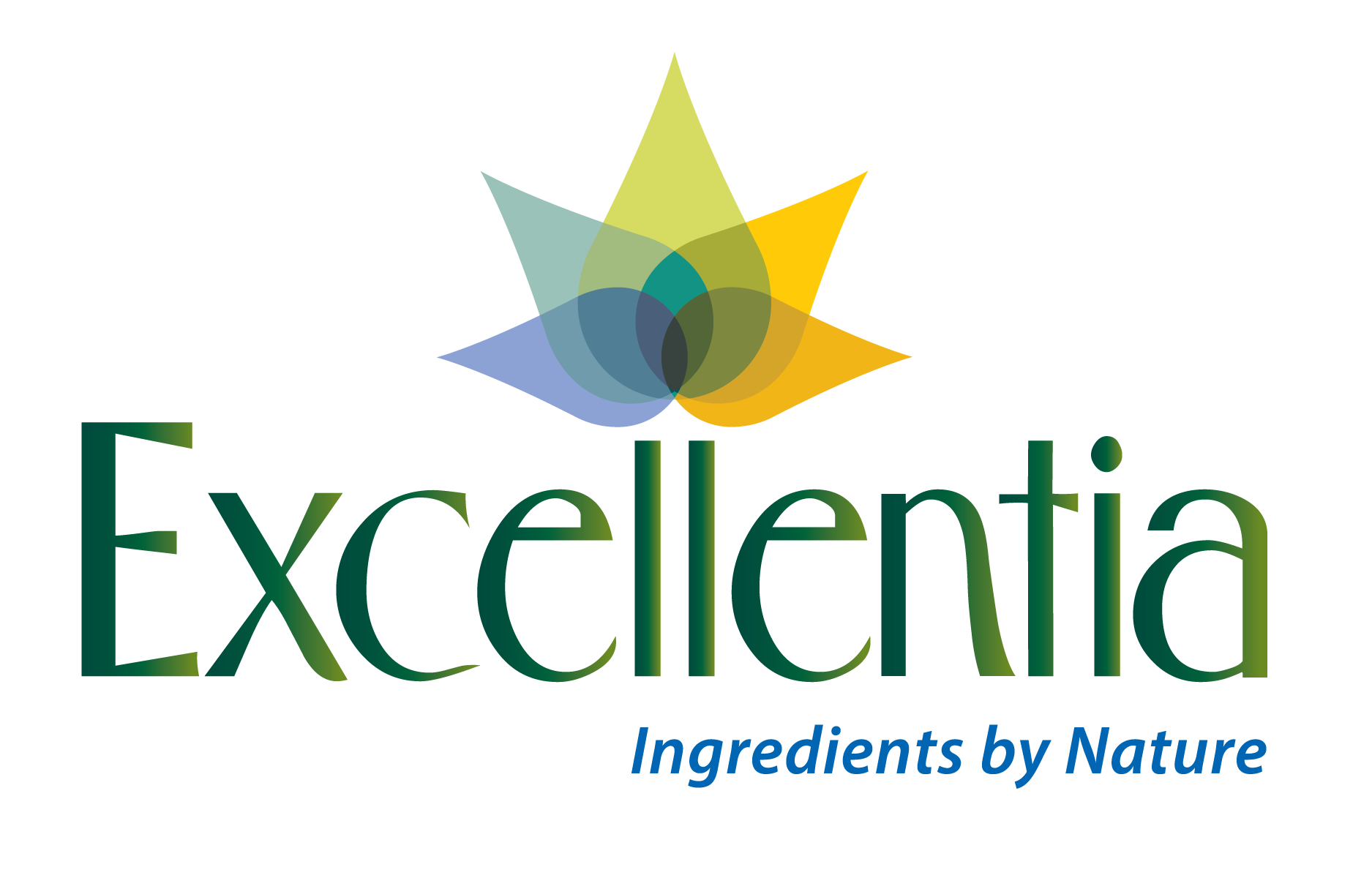EXCELLENTIA_Logo RGB w Tagline