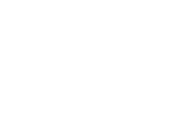 2025 ALC Web_Logo_white