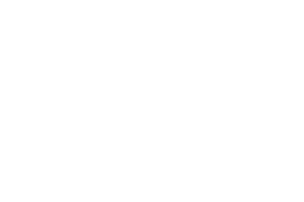 2026 ALC Web_Logo_White